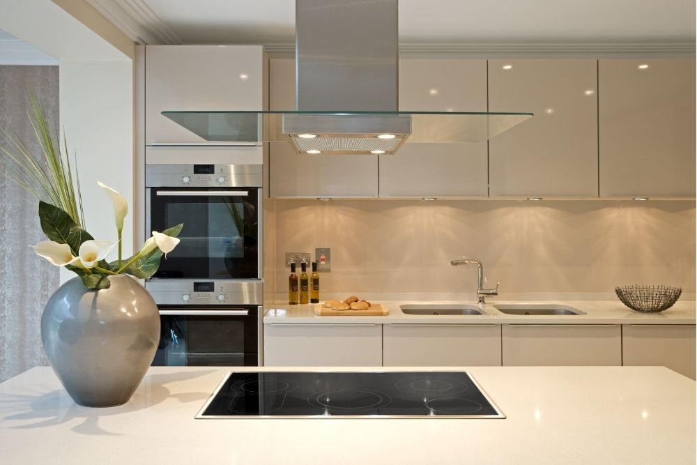 Kitchen design with plant